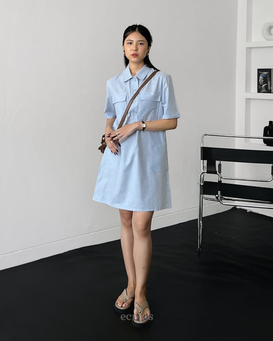 ECINOS - Rice Shirtdress