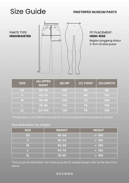 ECINOS - Pinstriped Museum Pants